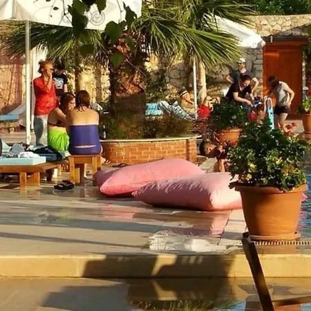 Kaktus Villa *